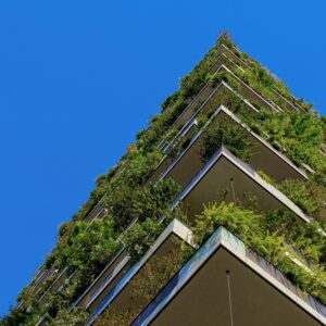 Top Sustainability Consulting Firms | Sabrina Watkins